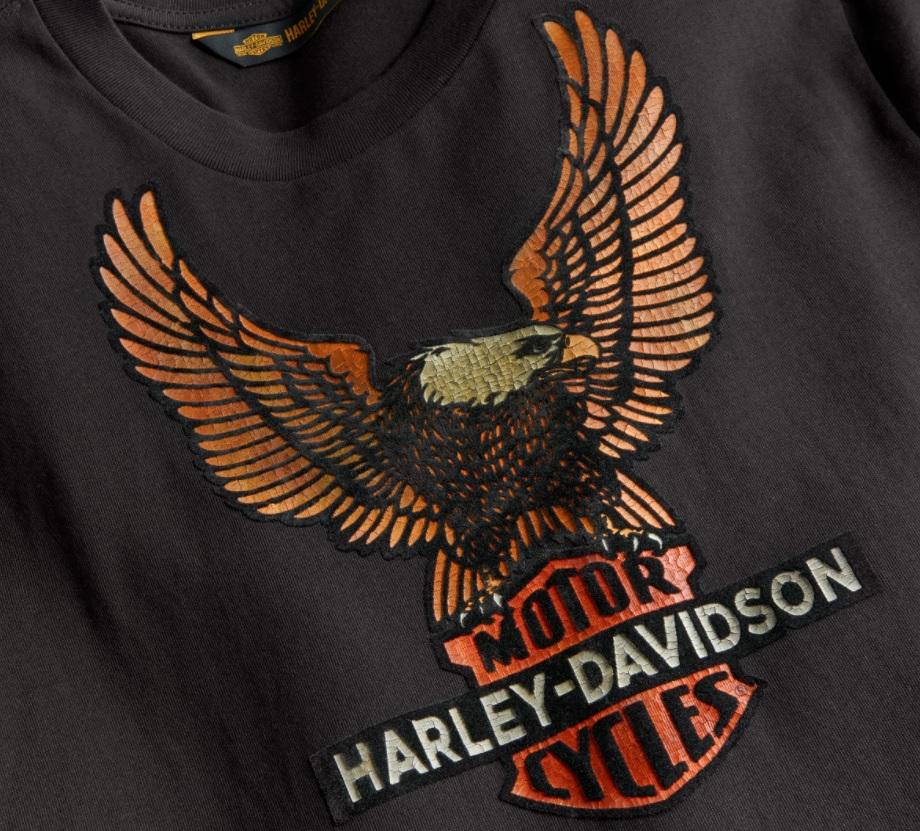 Harley-Davidson® Men's Vintage Eagle Long Sleeve Tee - Slim Fit, 99098-20VH - Image 3